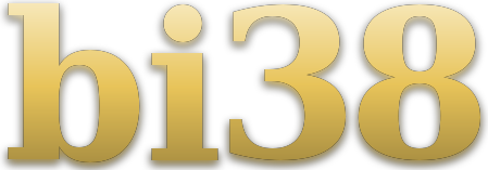 bi38 logo
